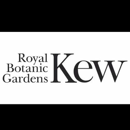 London 王立植物園 キューガーデン ヘンリームーア トートバッグ 男女兼用